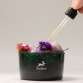 Hop Hare Diffusing Crystals & Floral Set