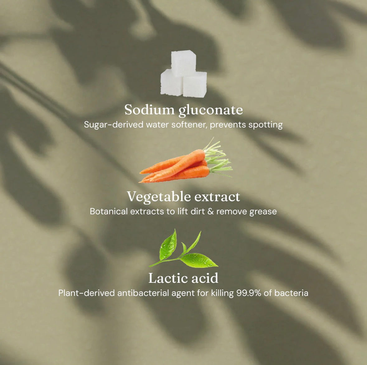 1x Limited Edition Anti-Bac Surface Cleaner - Refreshing Fig Leaf + Patchouli