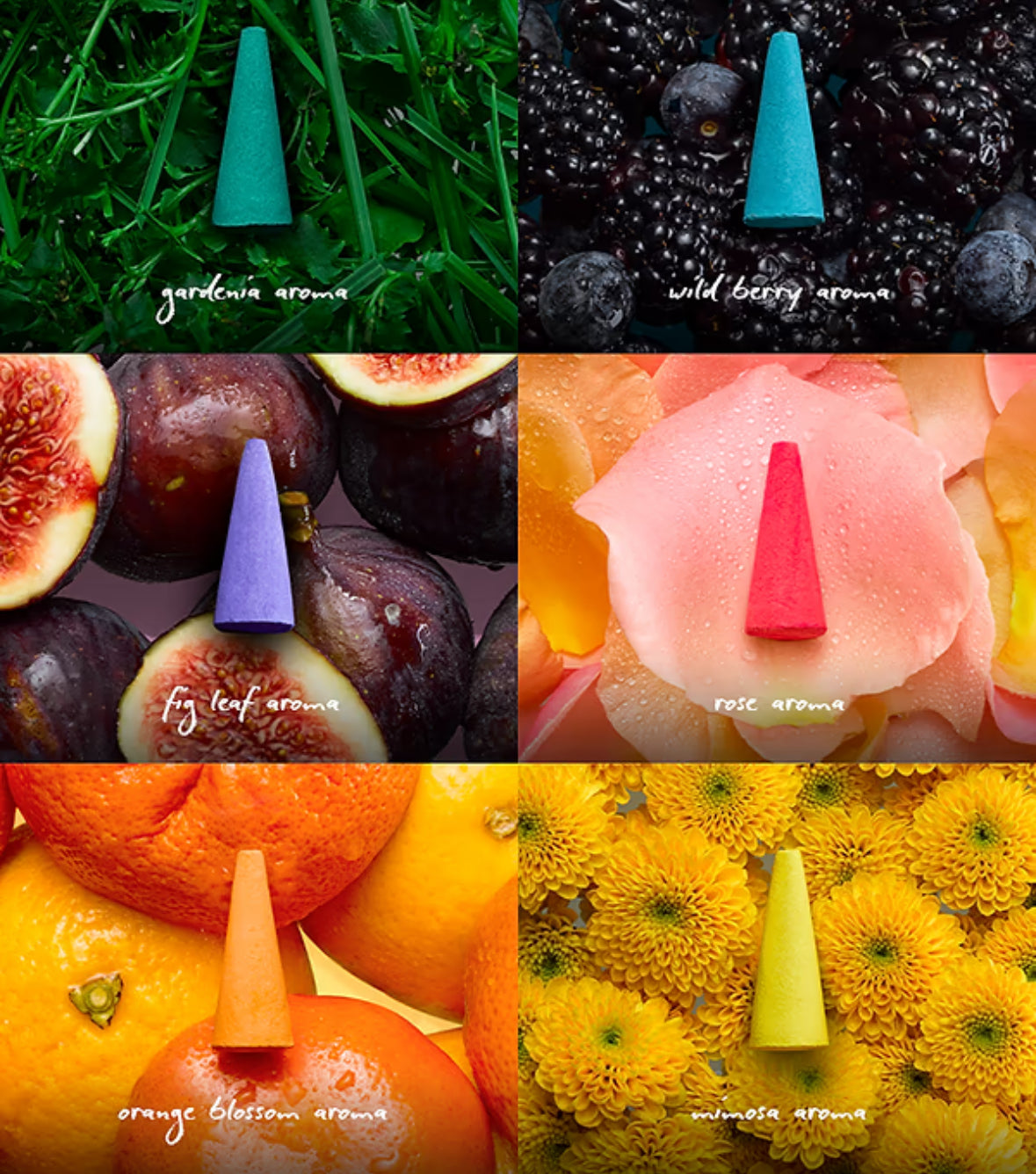 Ripple+ Incense Multipack