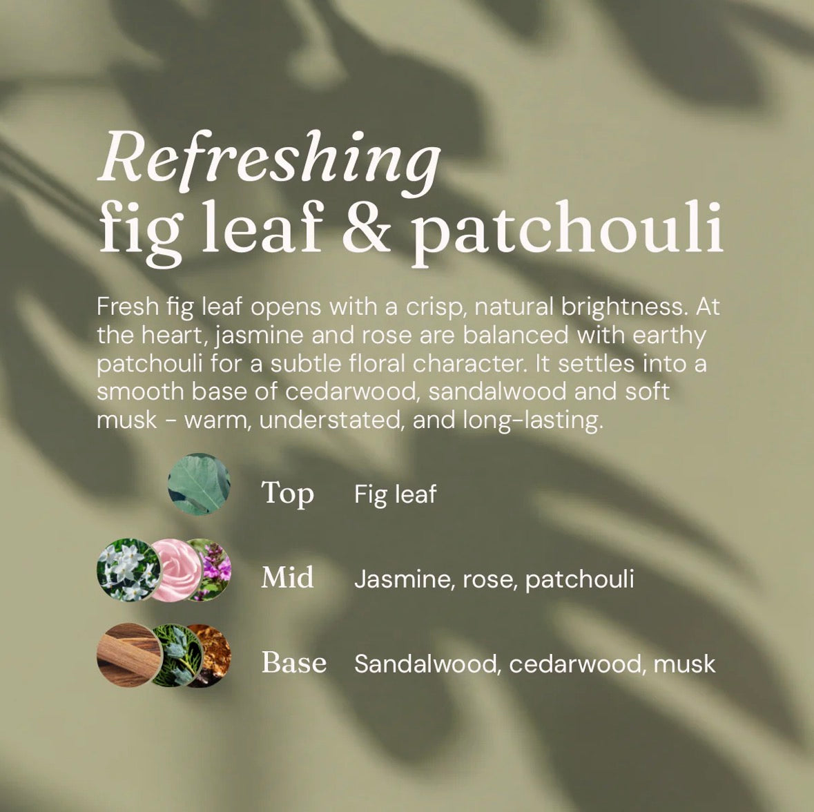1x Limited Edition Hand Soap - Refreshing Fig Leaf + Patchouli