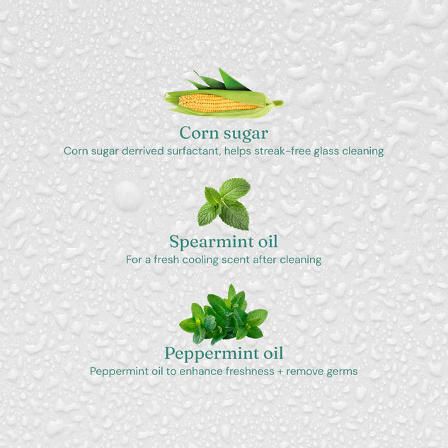 6 x Window & Glass Cleaner - Refreshing Mint - 750ML
